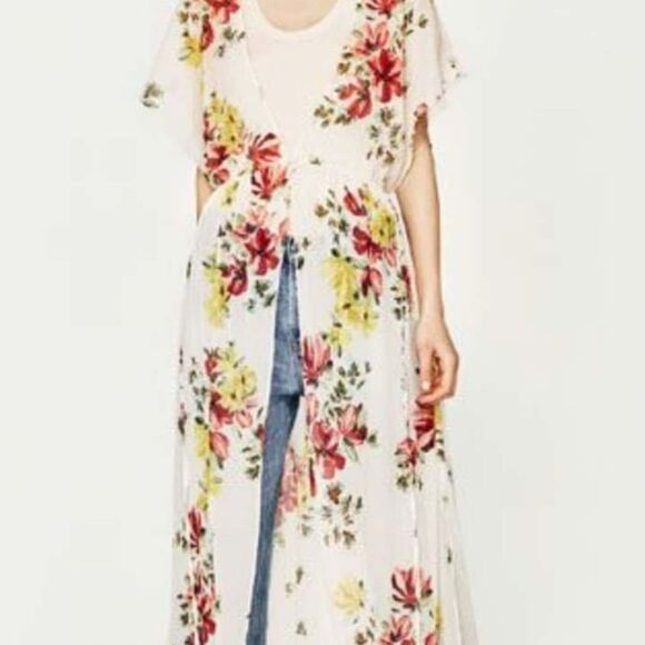 ZARA Sheer Dress or Coverup - Picture 9 of 10